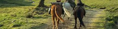 Primer tráiler y fecha de El Caballero de los Siete Reinos