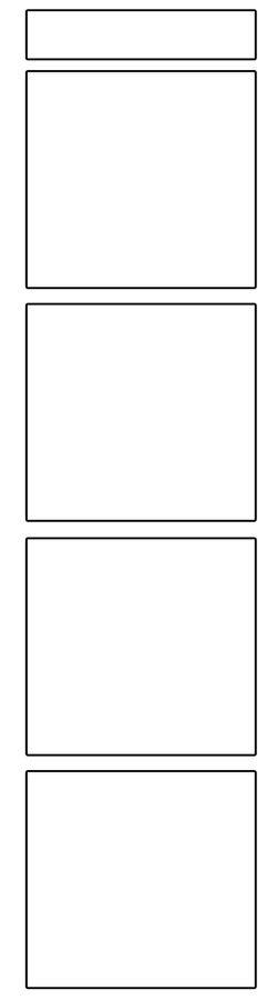 formato