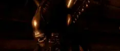 Sí, otro video más de Aliens vs Predator