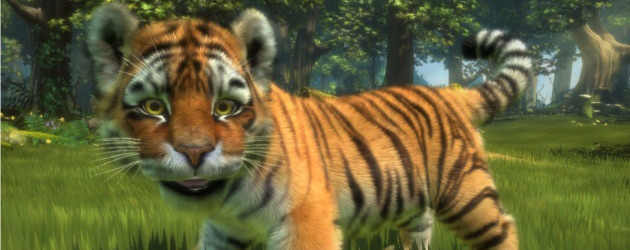 animal