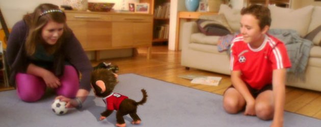 pet