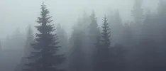 Kickstarter de The Long Dark, un simulador de supervivencia
