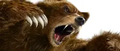 Kuma y Miguel son los siguientes personajes para Tekken revolution
