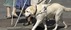 Un nuevo camino para los videojuegos: Blind Braver, título para invidentes