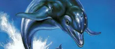 3D Ecco The Dolphin, Double Dragon y mucho más esta semana en la eShop de Wii U y 3DS