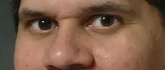 Rumor: Reggie Fils-Aime opina que Sakurai debería considerar incluirlo en Super Smash Bros si 100,000 fans firman la petición