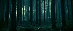 The Forest, el nuevo survival horror que promete un mundo abierto como nunca antes lo has vivido