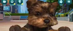 Lleva a tu perro en el bolsillo con Kinectimals Unleashed