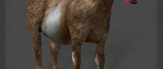 Review – Goat Simulator