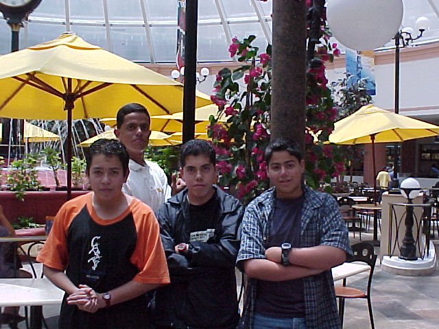 elitefour1999