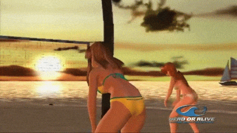 BeachVolleyball