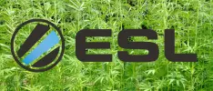 La política anti-drogas de los eSports a detalle