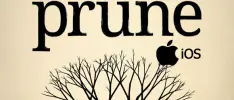 Review – Prune