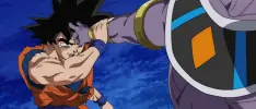Resumen Dragon Ball Super, Ep 14: El dios más poderoso de este universo