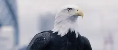 Así es la verdadera Eagle Vision de Assassin’s Creed en la ciudad de Londres