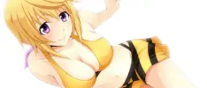 Charlotte y la lencería; Checa la nueva figura de Infinite Stratos