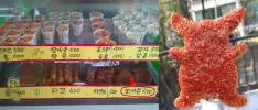 ¿Es Corea del Sur el mejor país? Podría serlo: venden Pikachus fritos