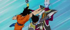Resumen Dragon Ball Super, Ep 18: ¡Entrenemos con los dioses!