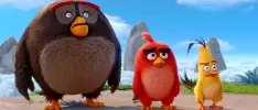 Despide el año con un nuevo tráiler de la película de los Angry Birds