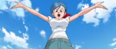 Resumen Dragon Ball Super, Ep 29: ¡Vamos a buscar, las súper esferas del dragón!