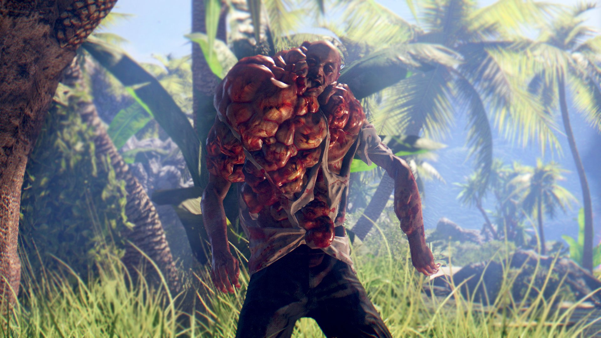 dead_island_definitive_collection-3321793