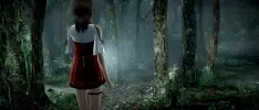 Compañía quiere publicar Fatal Frame de Wii U en formato físico