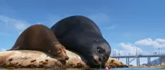 El nuevo tráiler de Finding Dory está increíble