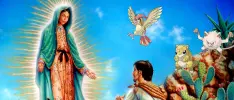 ¡Ya se transmitió! El episodio de La Rosa de Guadalupe sobre Pokémon Go tiene tráiler
