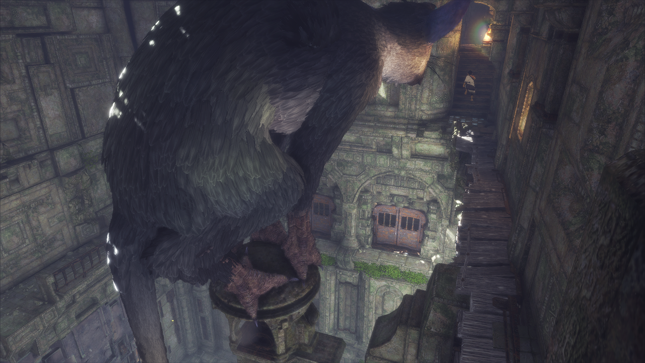 The-Last-Guardian