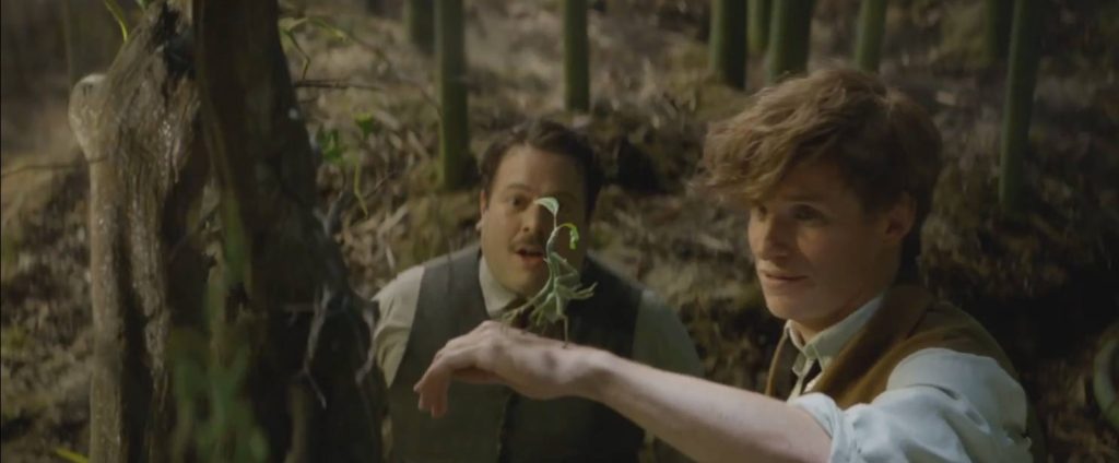fantastic_beasts-feature-trailer-screen2