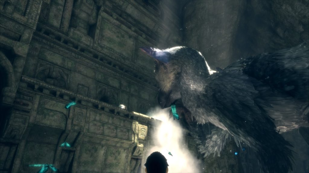 The Last Guardian™_20161201160447