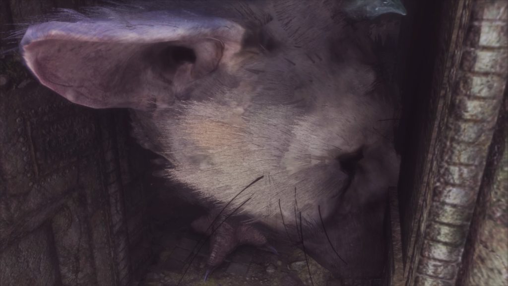 The Last Guardian™_20161203084351