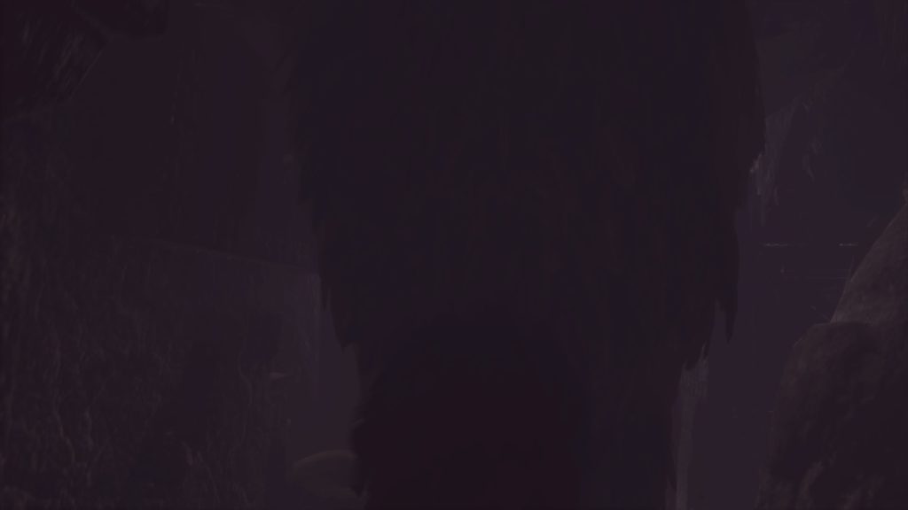 The Last Guardian™_20161203084423
