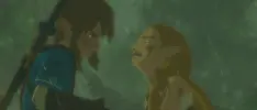 A la gente no le gustó mucho la revelación del DLC para Zelda: Breath of the Wild
