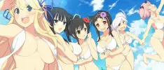 Al creador de Senran Kagura le gustaría hacer un juego que apele a las chicas