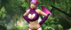 ¿Se terminó la serie? Desarrolladores de Dead or Alive 5 dan confuso mensaje
