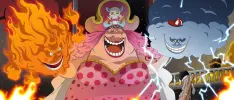 Tenemos un nuevo miembro mugiwara en One Piece