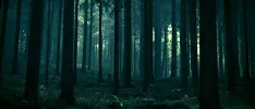 Chécate el nuevo tráiler oficial de la peli de Slenderman