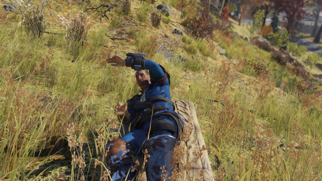 Fallout 76_20181116174137