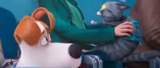 Mascotas con traumas en el primer tráiler de La Vida Secreta de tus Mascotas 2