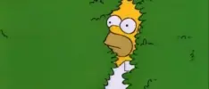¡D'oh! Homero utiliza su propio meme en el último capítulo de Los Simpsons