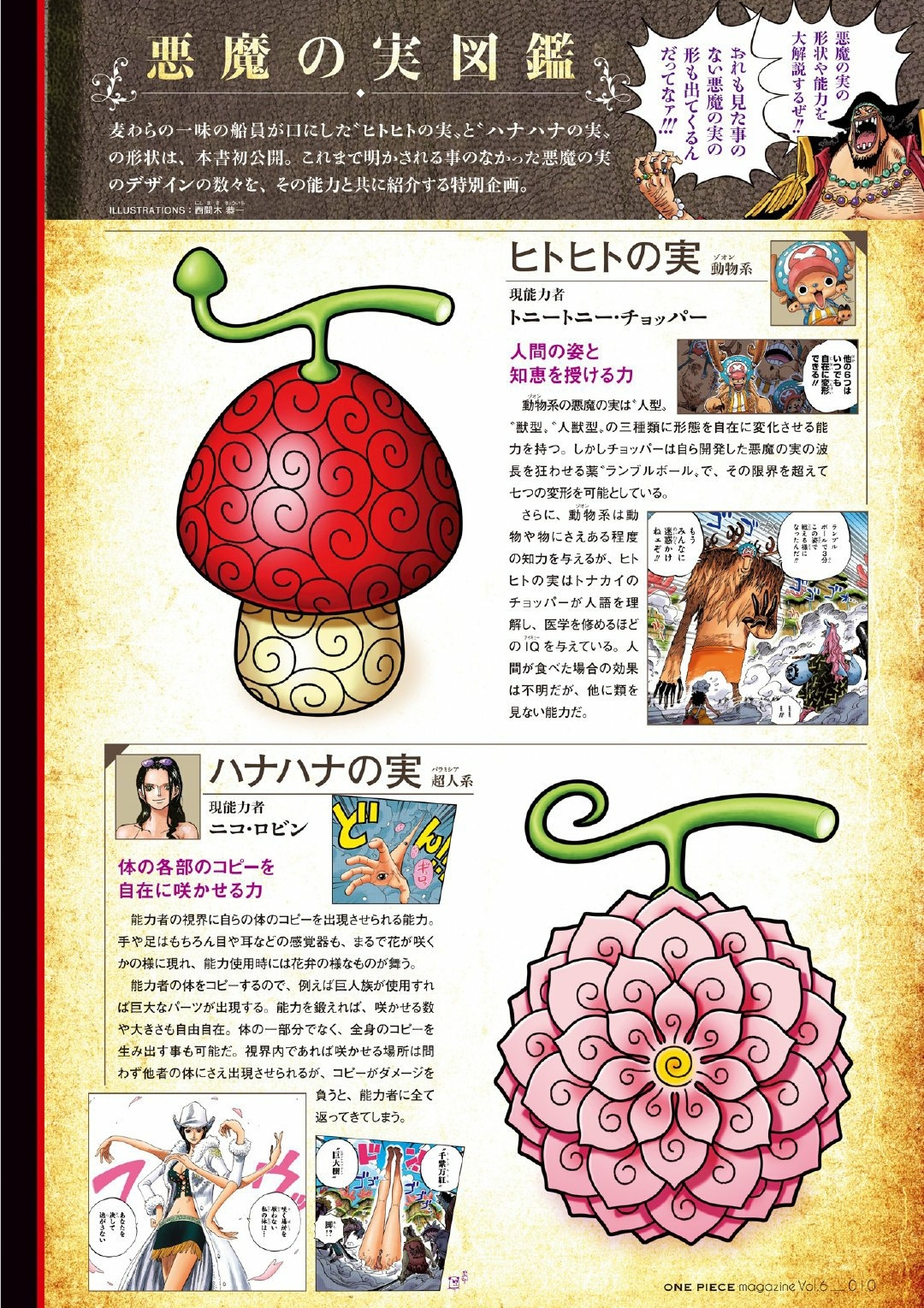 Robin_Chopper_DevilFruit