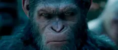 Disney seguirá desarrollando películas de El Planeta de los Simios