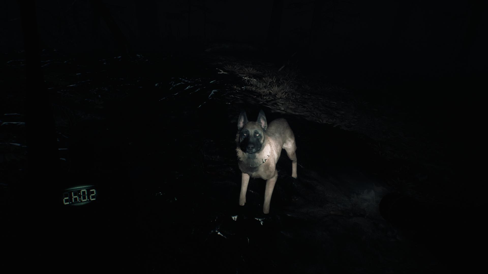 Blair-Witch-Atomix-Review-01-Bullet