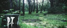 ¿Cómo descargar de nuevo P.T. en tu PS4? Acá te lo contamos