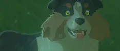 Un speedrun de BOTW tiene como objetivo alimentar a todos los perros del juego