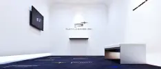 97 cosas que seguramente no sabías de PlatinumGames