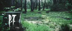 Kojima niega rumores sobre la adquisición de P.T. y Metal Gear Solid