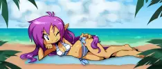 La serie de Shantae ha superado las tres millones de unidades vendidas