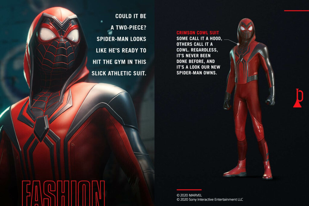 spider